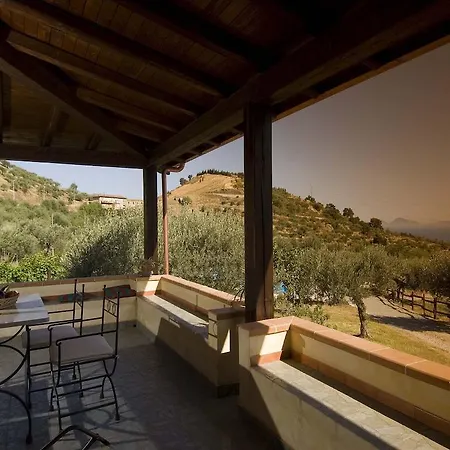 La Collina Degli Ulivi