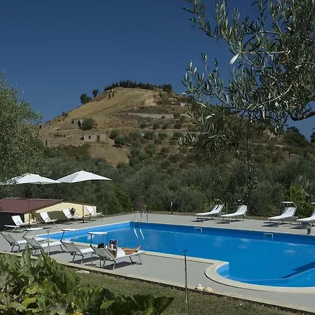 La Collina Degli Ulivi